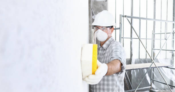 Mold Removal for HVAC Installations